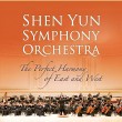 syso perfect harmony of East and West